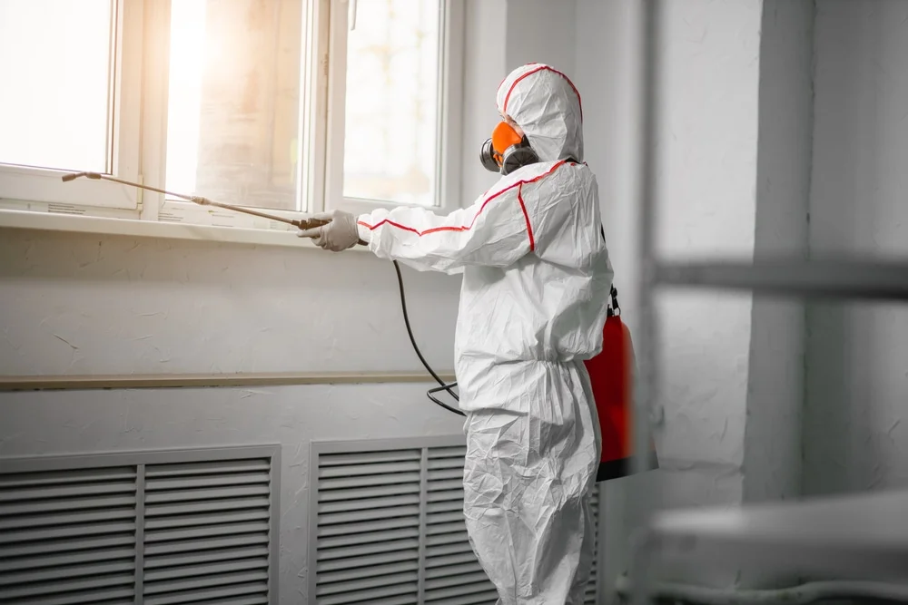 Professional mold remediation services in Hartford, WI